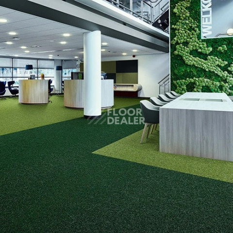 Forbo Akzent 10718 Forest фото 3 | FLOORDEALER